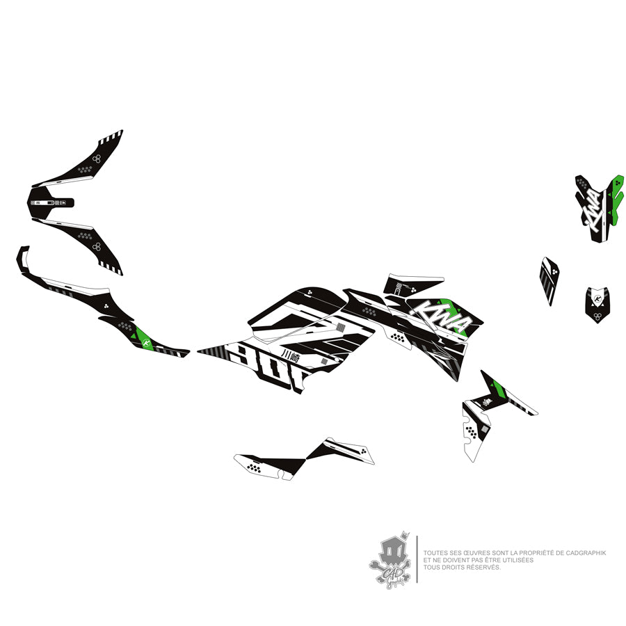 KAWASAKI METALLIC GRAPHIC KIT - Z900 GREEN TEAK 01 - ONLY X