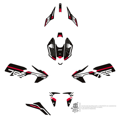 GRAPHIC KIT TRIUMPH - STREET TRIPLE RS 765 RS WHITE SERIE - ONLY-X