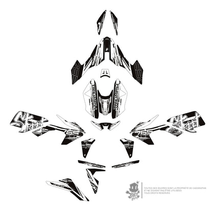 GRAPHIC KIT TRIUMPH - STREET TRIPLE RS 765 RS WHITE SERIE - ONLY-X