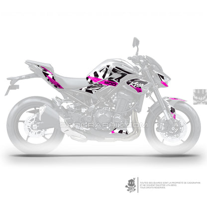 KIT DÉCO KAWASAKI Z900 CLASSIX - P