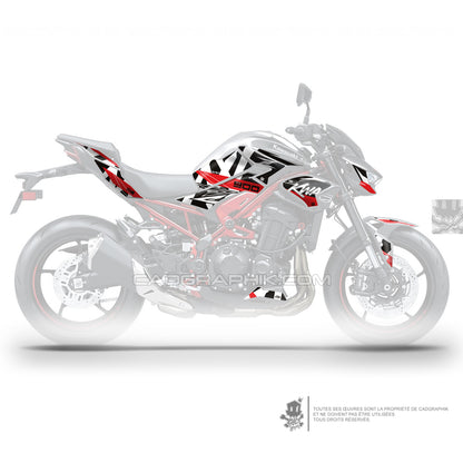 KIT DÉCO KAWASAKI Z900 CLASSIX - R