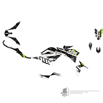 KAWASAKI METALLIC GRAPHIC KIT - Z900 ACID GREEN TEAK 01 - ONLY X