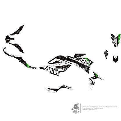 KAWASAKI METALLIC GRAPHIC KIT - Z900 GREEN TEAK 01 - ONLY X