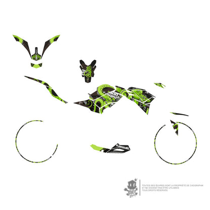 KAWASAKI METALLIC GRAPHIC KIT - Z900 DRAGON - ONLY X