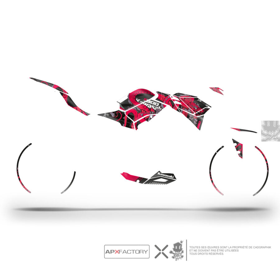 KAWASAKI METALLIC GRAPHIC KIT - Z900 RED DRAGON - ONLY X