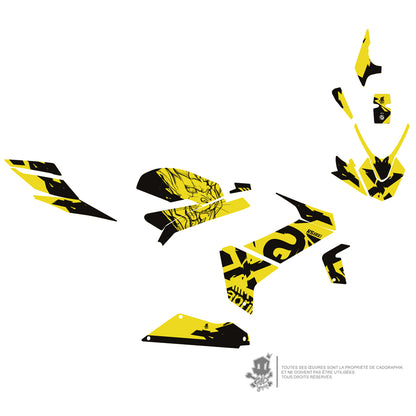 APRILIA GRAPHIC KIT - RS 660 X ACIDE LION 2 - ONLY 30