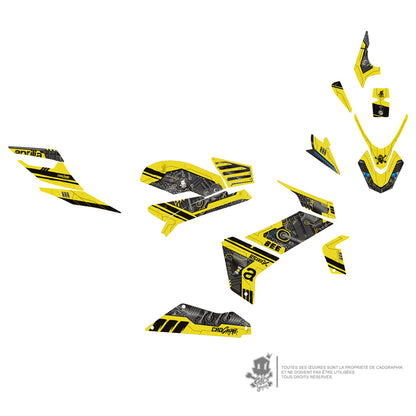 APRILIA DECO KIT-RS 660 ACID BEE-ONLY 10