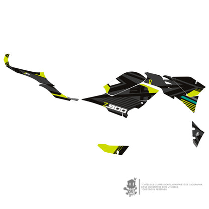 KAWASAKI GRAPHIC KIT - Z900 ACID GREENV1 - ONLY X